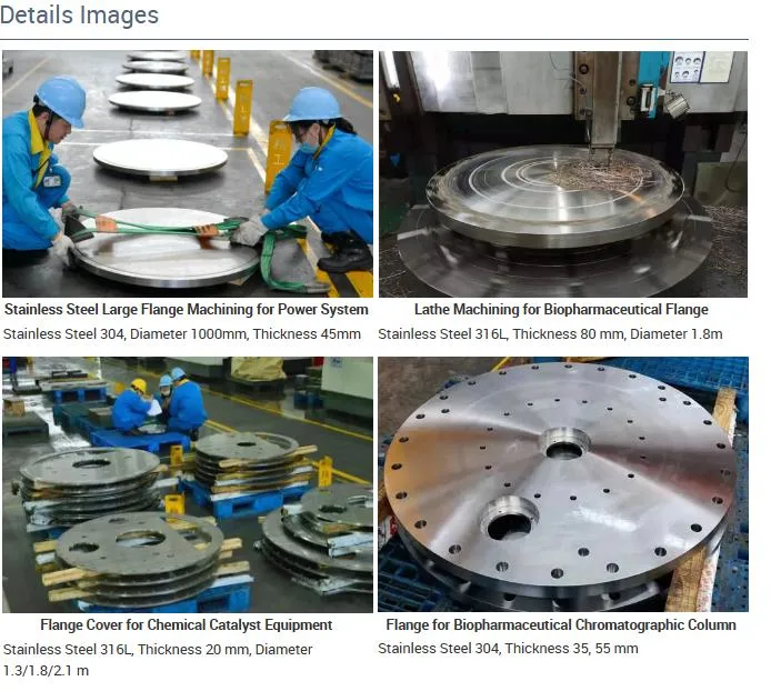 Stainless Steel Flange Cover CNC Machining for Chemical Catalyst Equipment